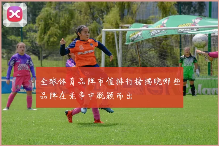 全球体育品牌市值排行榜揭晓哪些品牌在竞争中脱颖而出